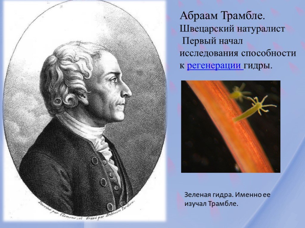 Кракен наркотики в оренбурге